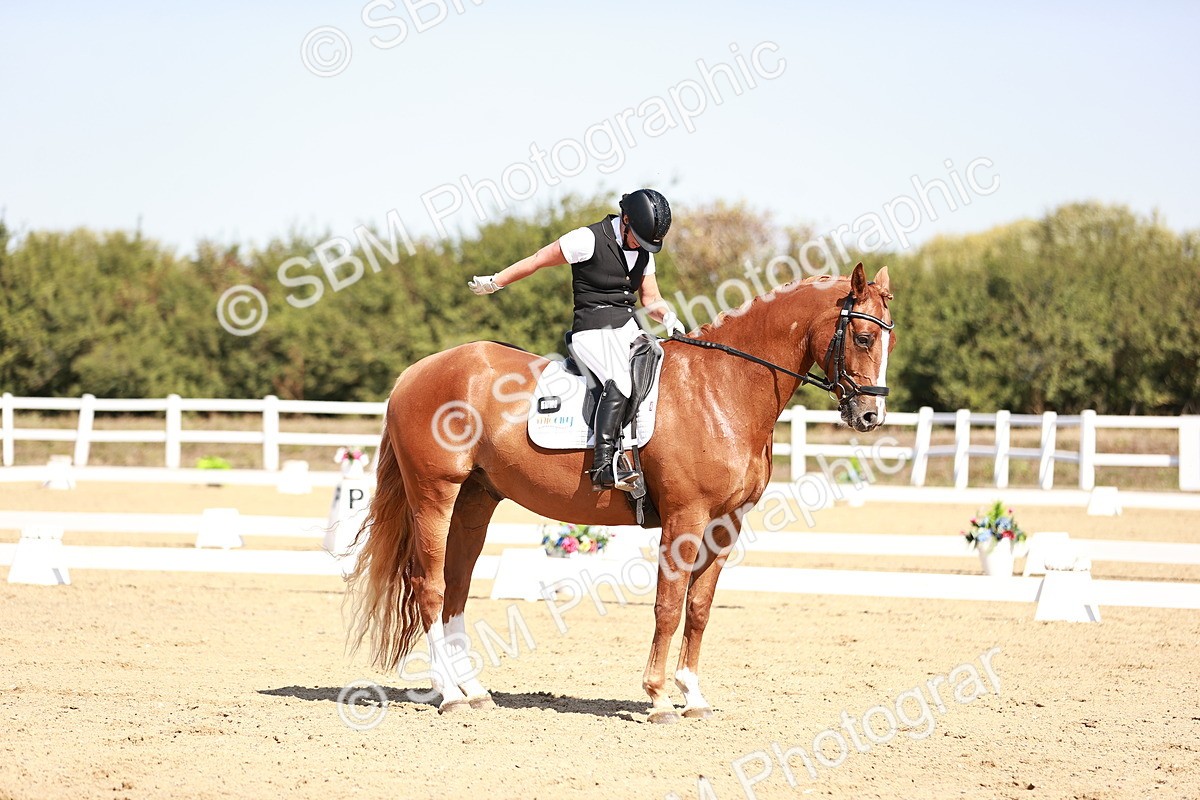 SBM_004576 - Class 12 - Novice 5 - 10.31-11.41