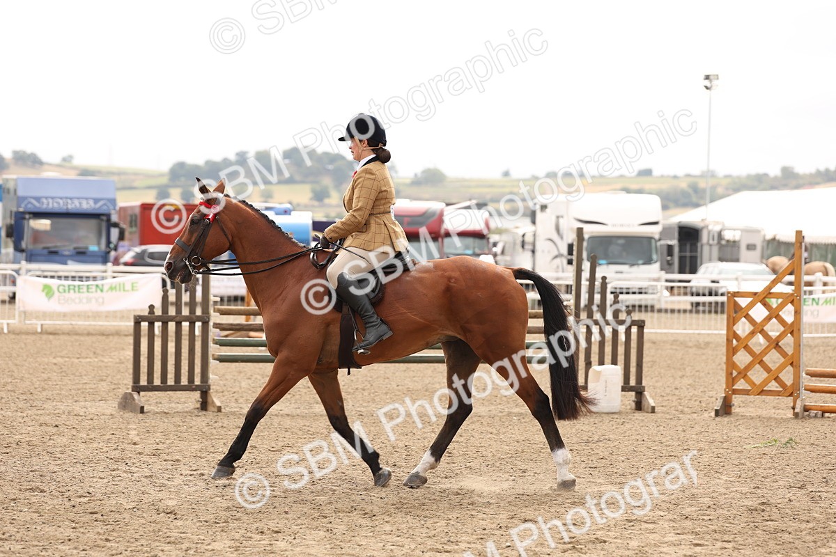 SBM_02856 - Class 53 - Ridden Competition Horse/Pony