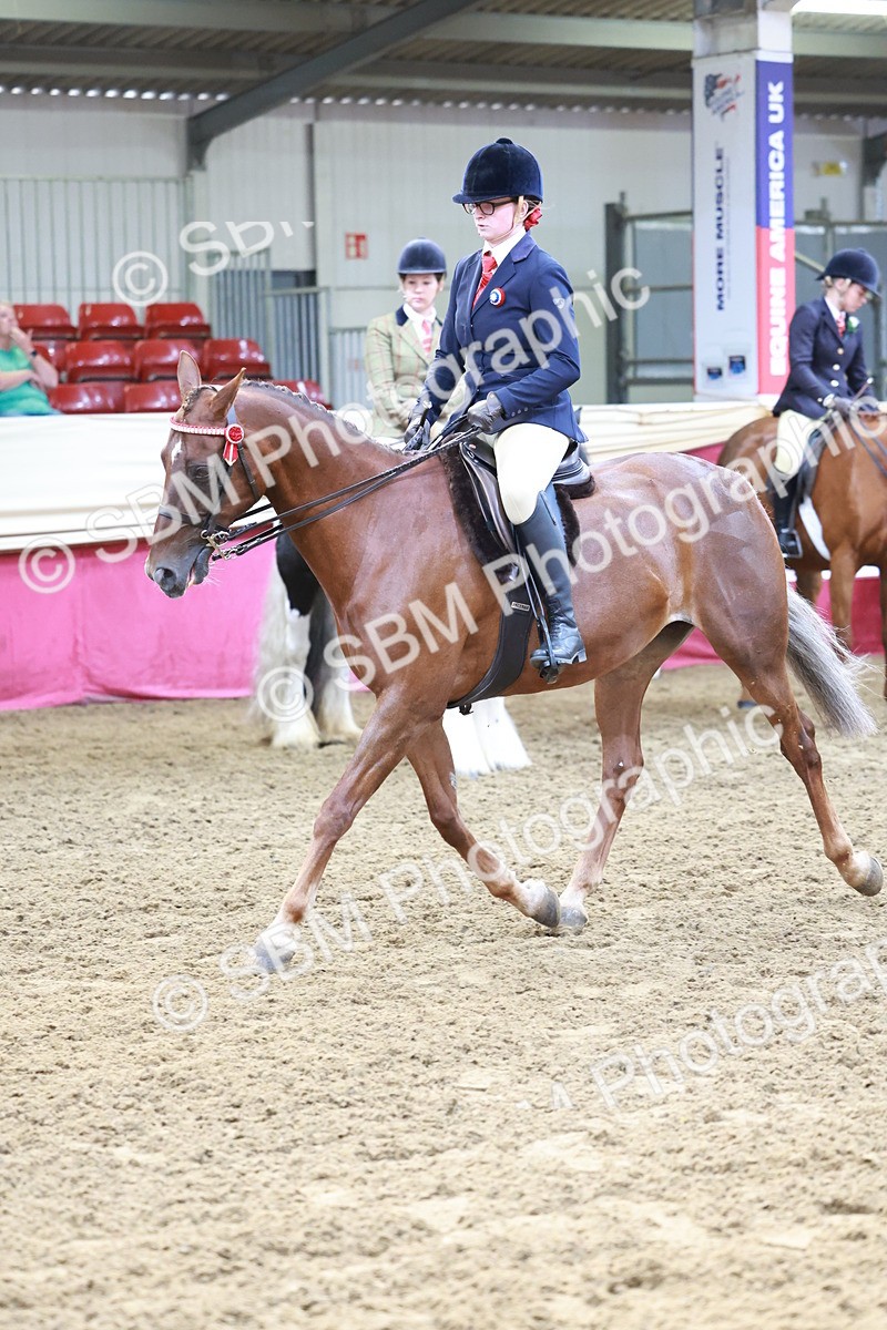 SBM_11935 - Class 102 - Equitation (Best Rider) Adult