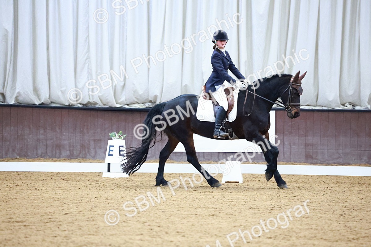 SBM_001568 - Novice Music