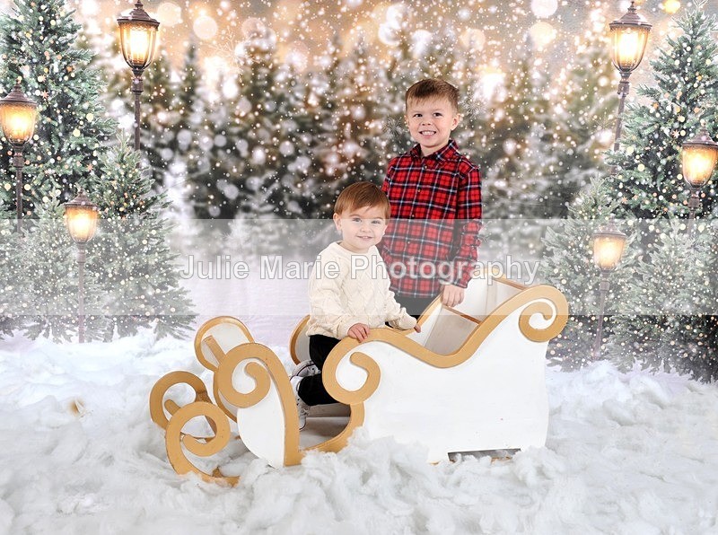 DSC_7490 - shannon ram