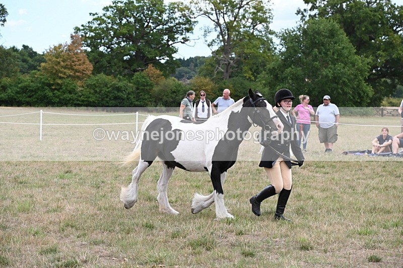 WJ6_5718 - Class 18 In-hand Coloured