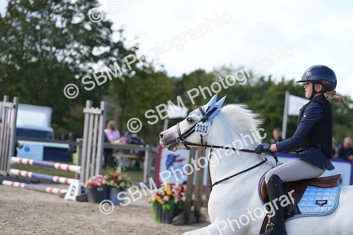 SBM_46713 - J7 - Junior Pony 60cm Championship