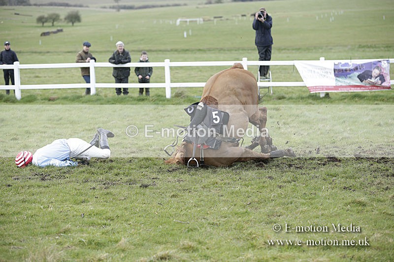 PtP 150320 0718 - New Forest Point-to-Point Larkhill 15/03/20