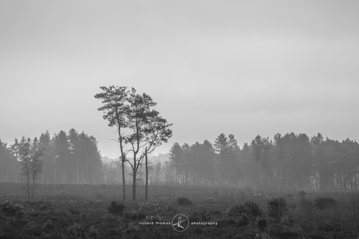 Bottle washers II - Bottlewashers