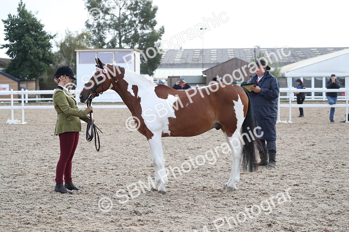 SBM_23144 - Class 605 - 2025 Area - IH Veteran