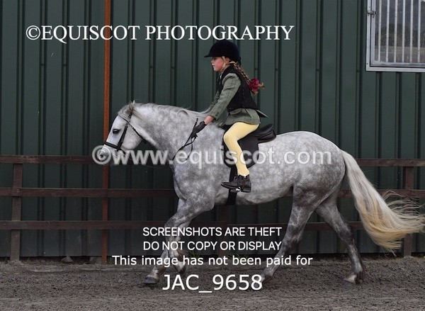 JAC_9658 - CLASS 1 Nursery Novice Working Hunter (0.50m)