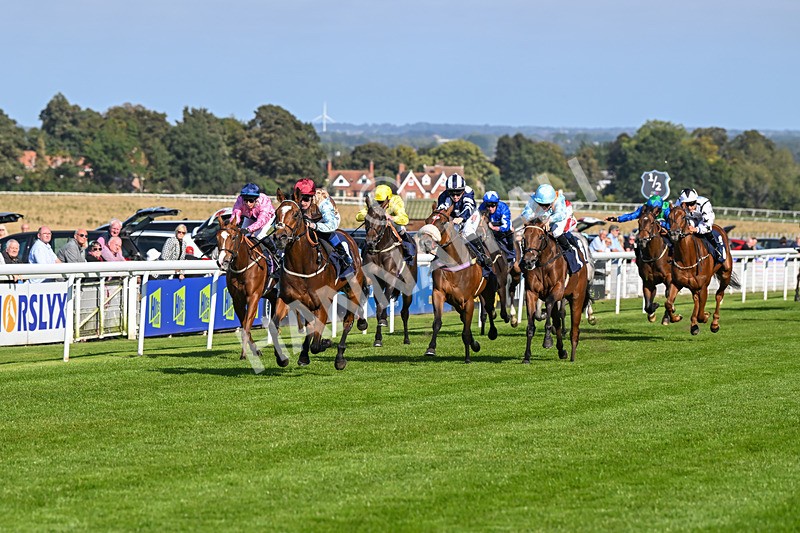 180924-Race 4-Surprised-4460 - Race 4