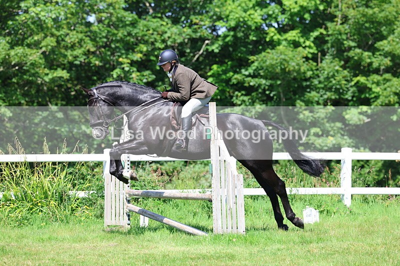 3E7A6993 - Class 30: Novice Working Hunter