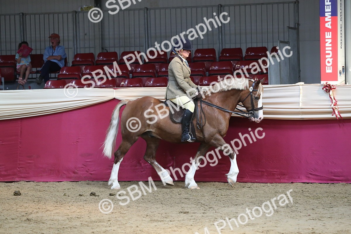 SBM_08288 - Class 11R Regional Ridden Veteran