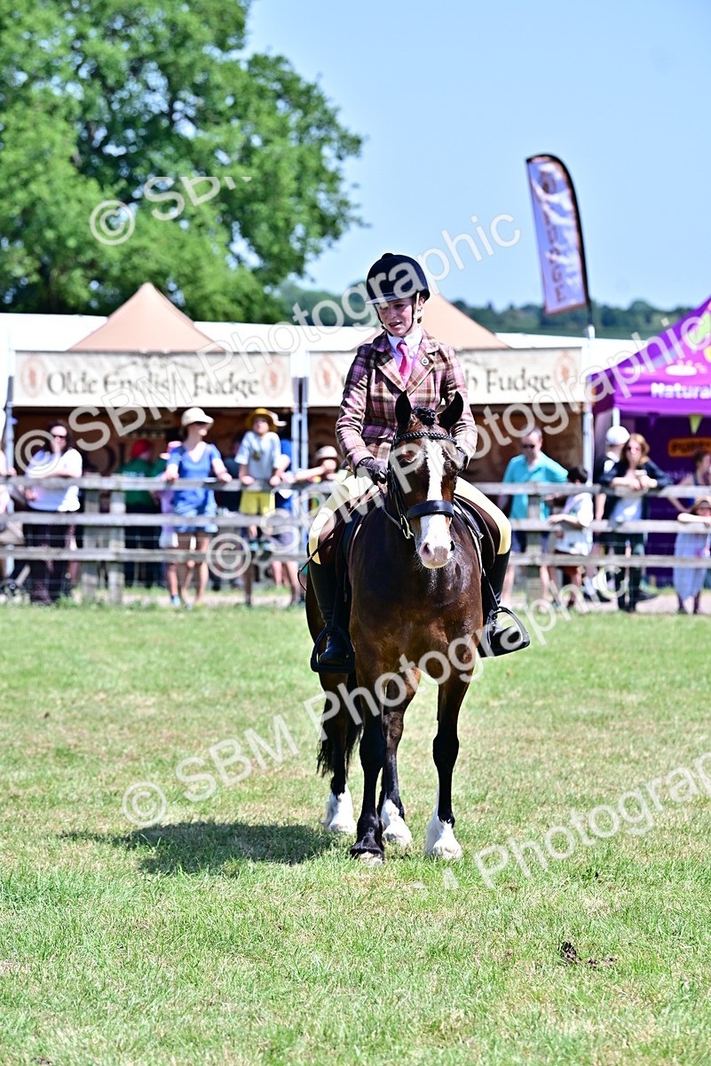 SBM_15412 - Class 95-97 - BSPS LHS Performance Ponies