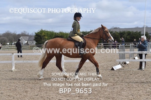 BPP_9653 - 50CM