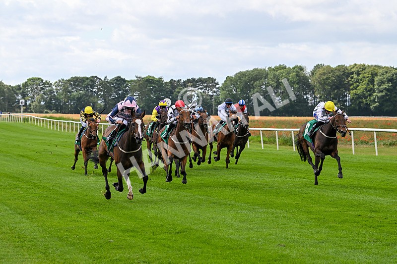 090824-Race 1-Harmonia-4352 - Race 1