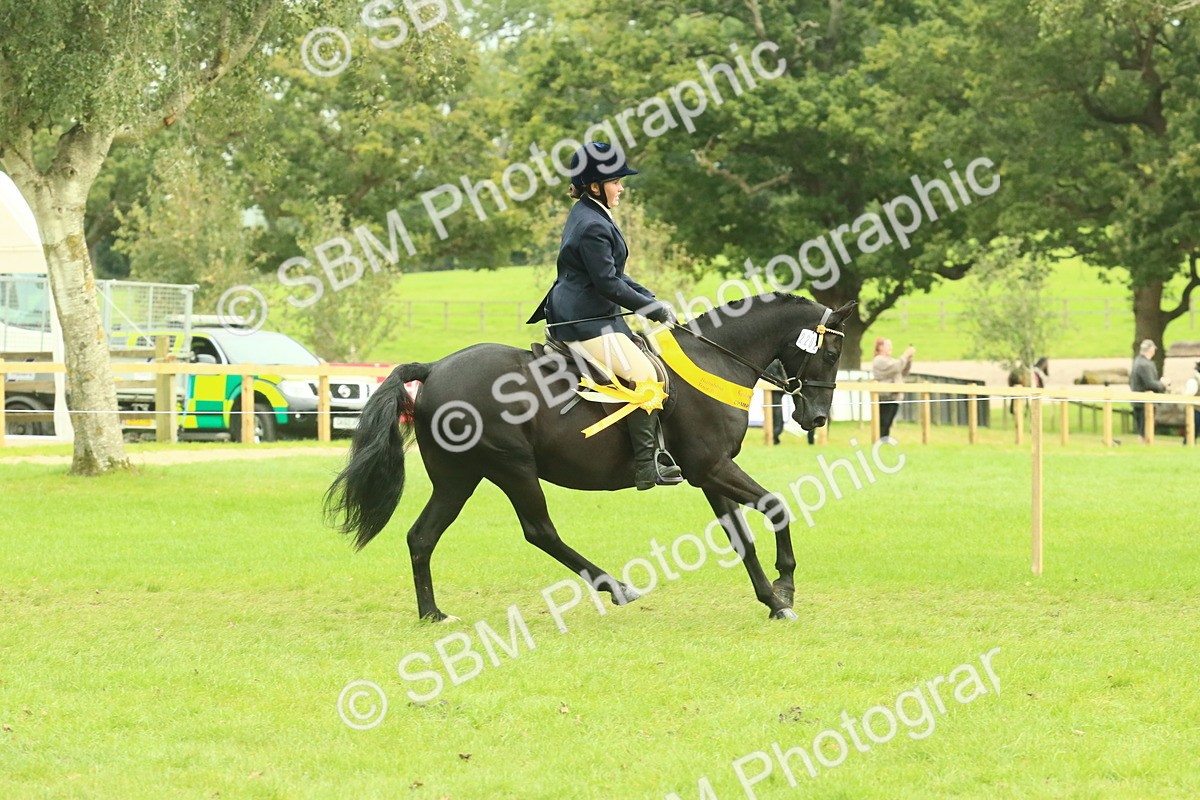 SBM_75010 - Ridden Pony Supreme Championship