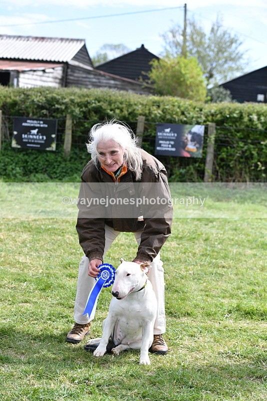 WJ5_0629 - Class 7 Best Terrier