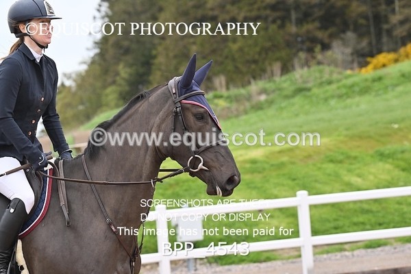 BPP_4543 - CLASS 20 SUN British Novice/90cms Open