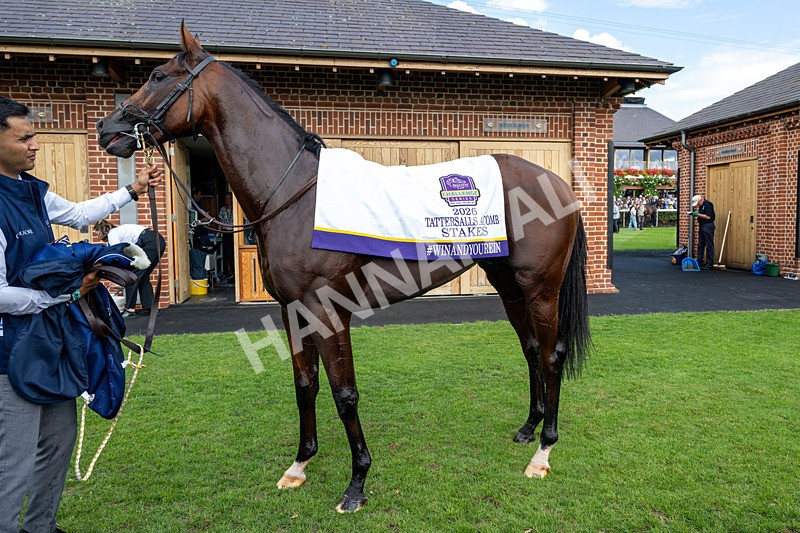 190826-Race 3-Maltese Cross-0408 - Race 3 15.00pm Sky Bet Great Voltigeur Stakes