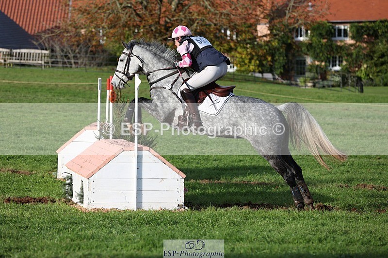 231021-160643-20540 - 553-HARLEQUIN.RABBIT-Althea.Bleekman-SC+XC