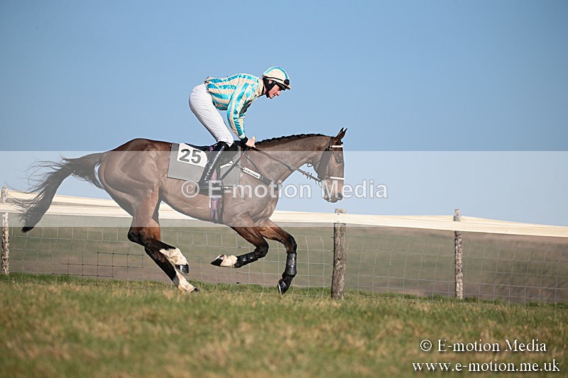 PtP 230219 386 - Vine & Craven Point-To-Point - Barbury 23/02/19