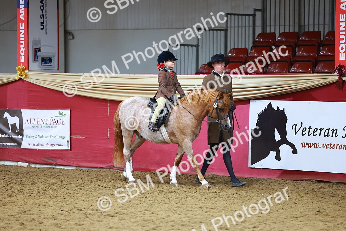 SBM_09350 - Class 102 - HOYS Veteran Qualifier - Ridden Veteran