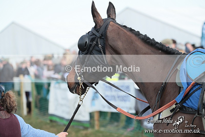 PtP 010325 532 - Beaufort Races Didmarton 01/03/25
