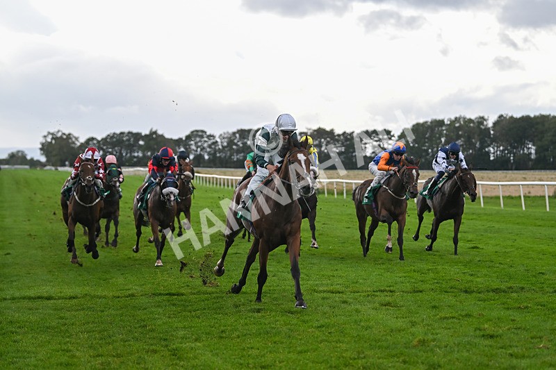 150925-Race 4-Hockney-2763 - Race 4