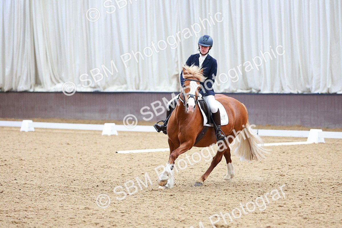 SBM_000681