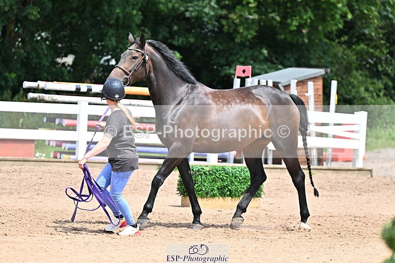 240718A-105305-01532 - Trot Up 12pm to 1pm