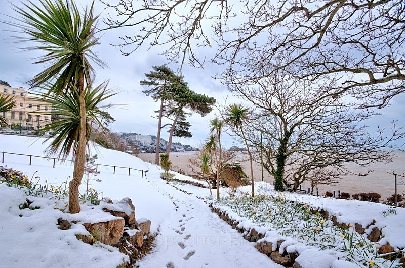 Meadfoot and Osborne Grounds - Snowy Views