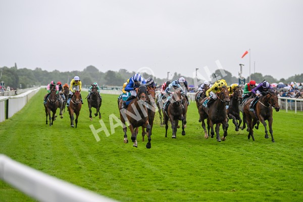 130724-Race 3-Enfjaar-7250 - Race 3 3.10pm John Smith's Cup Handicap