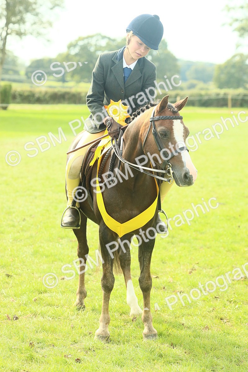 SBM_68159 - S57 - Part Bred Pony Ridden