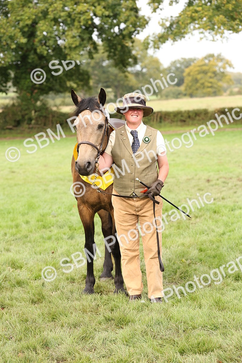 SBM_56274 - S55 - Other Coloured Horse In Hand