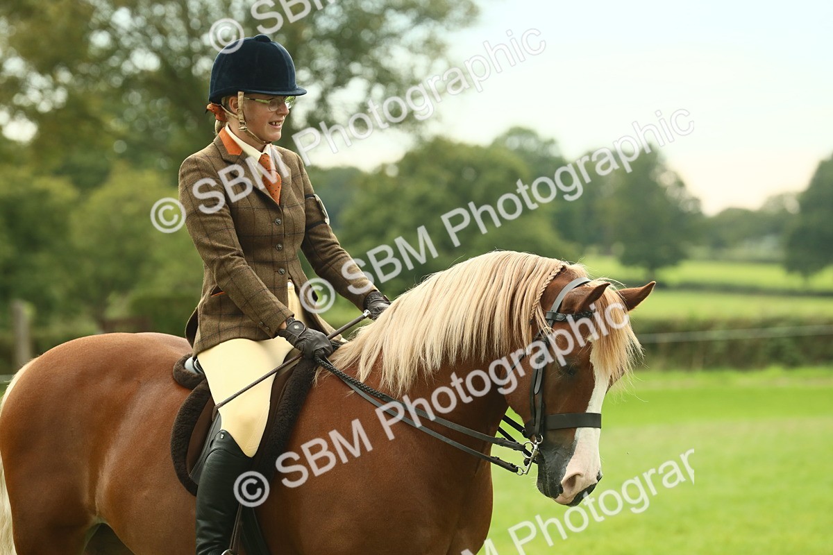 SBM_71953 - S60 - Mountain & Moorland Ridden Large Breeds