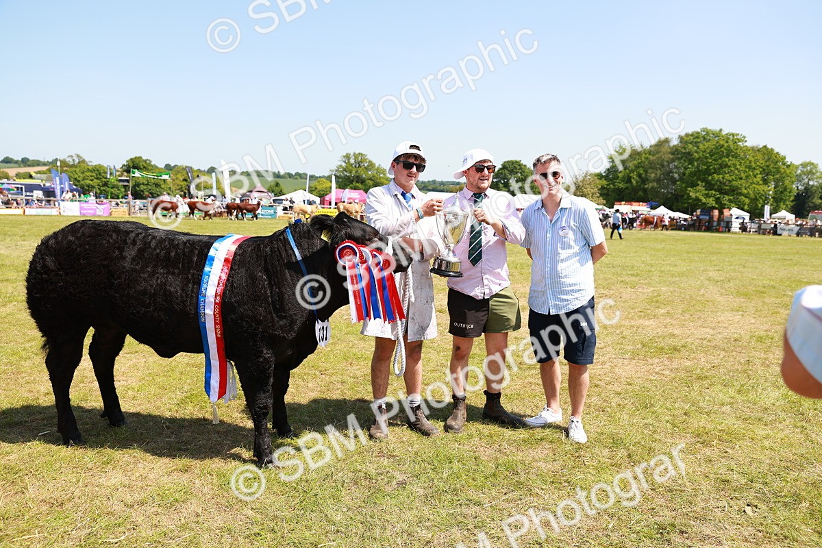 SBM_16445 - Grand Parade