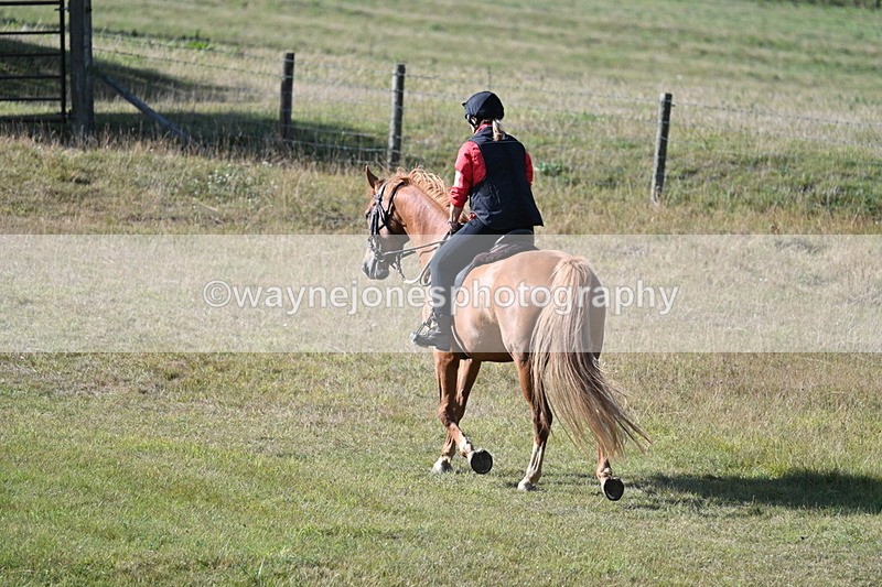 WJ7_3259 - Time 09:42 to 10:02