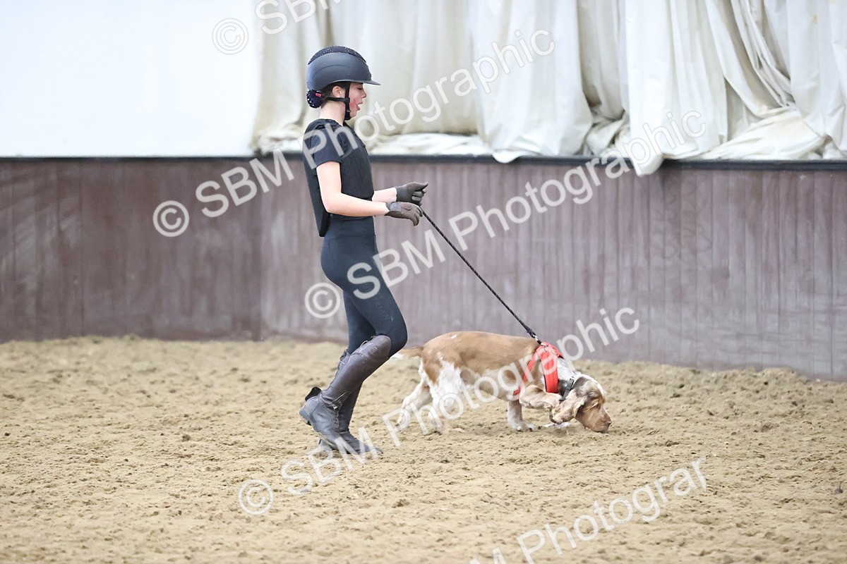 SBM_001352 - Class 3 - Horse & Hound 60cm