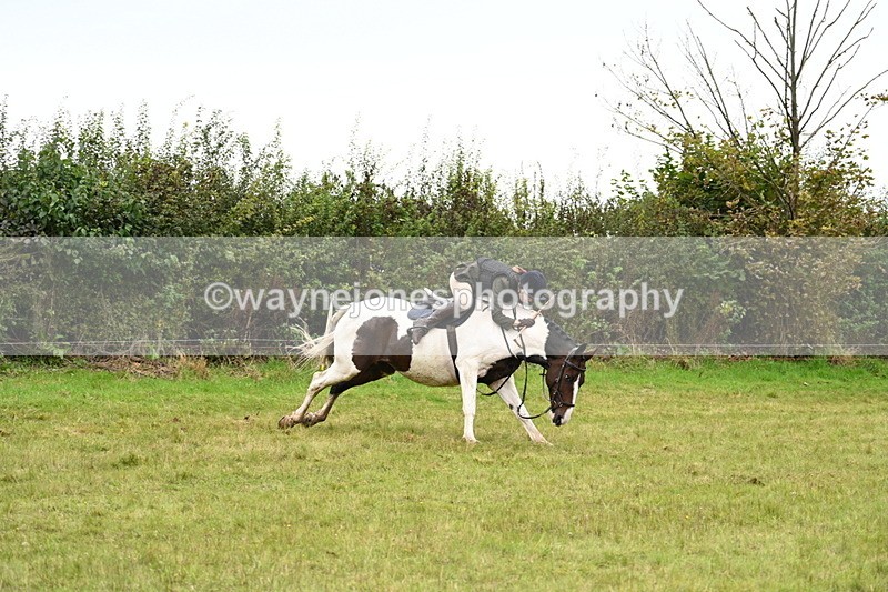 WJ7_4190 - Camera 1 Line 2