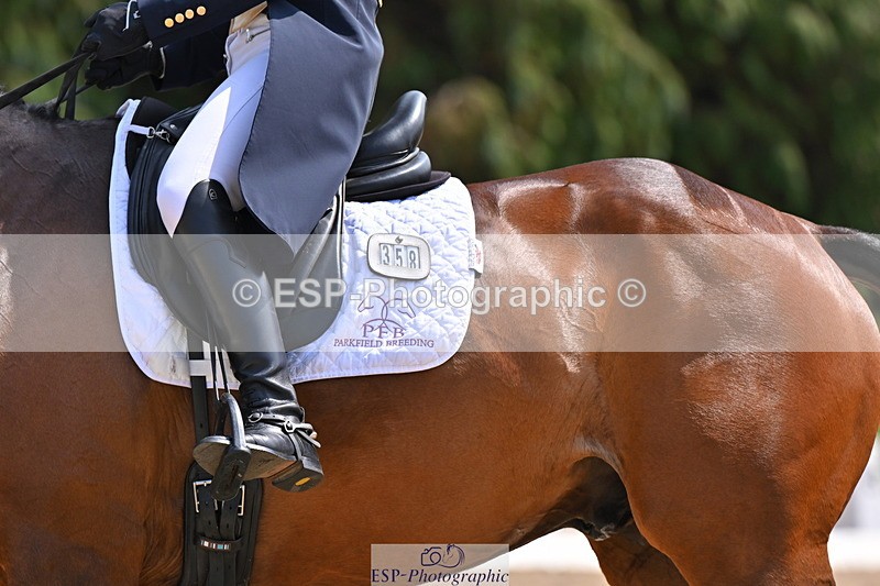 250523A-140230-07197 - B-358-Sammi.Birch-PARKFIELD.ARTIE.BLOU