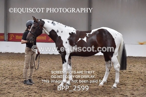 BPP_2599 - LOOSE JUMPING / SPSS