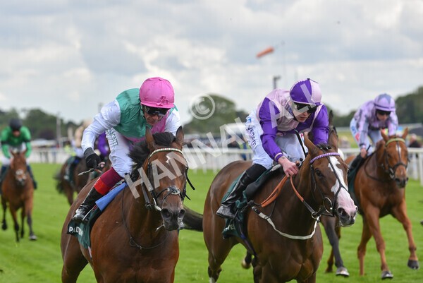 yr11052022r5-29 - Race 5 4.10pm Paddy Power 'Here For The Craic' Stakes