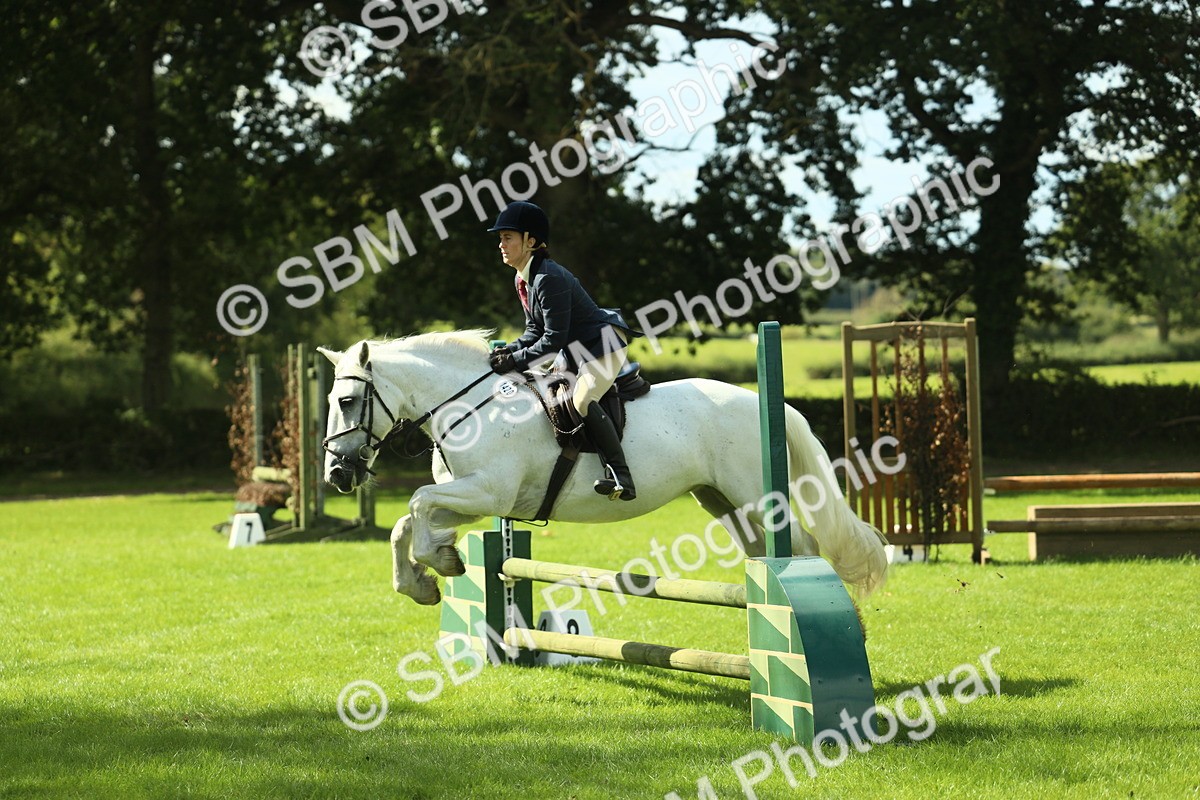 SBM_42932 - S30 - M&M Working hunter Pony