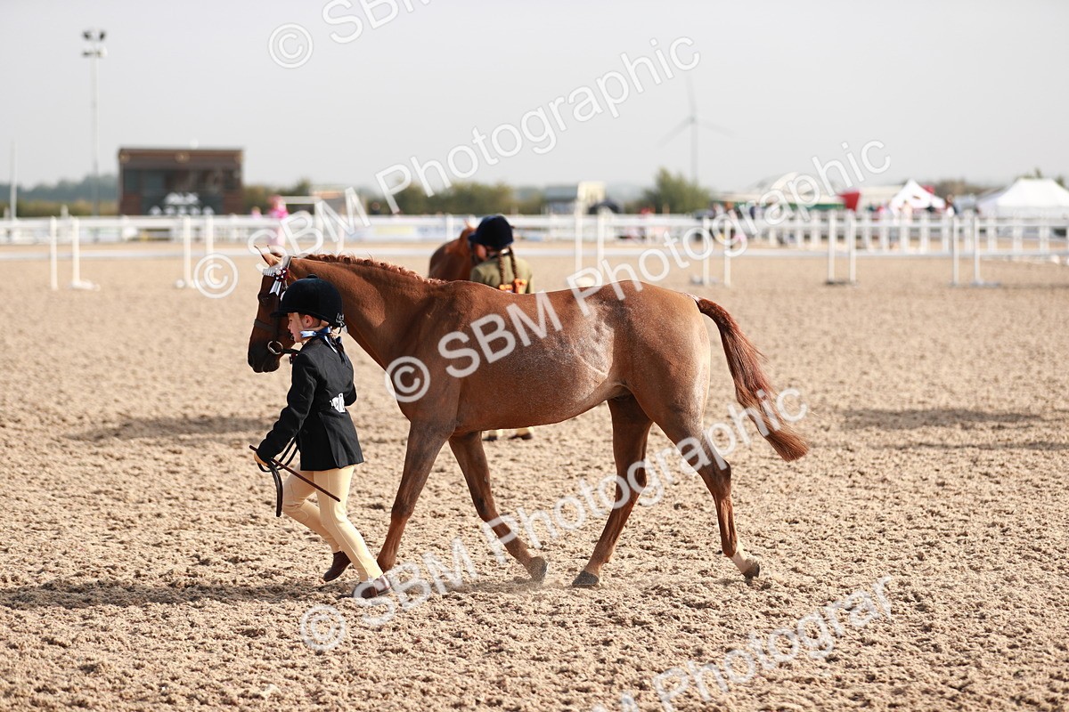 SBM_09887 - Class 203 Young Handler, 10 years and under
