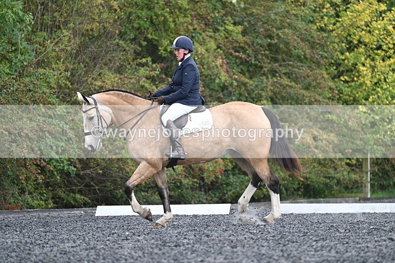 WJ7_4447 - Time 11:43 to 12:09