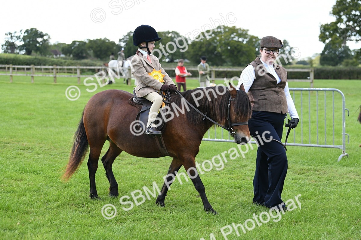 SBM_42724 - S20 - Lead Rein Mountain & Moorland Pony