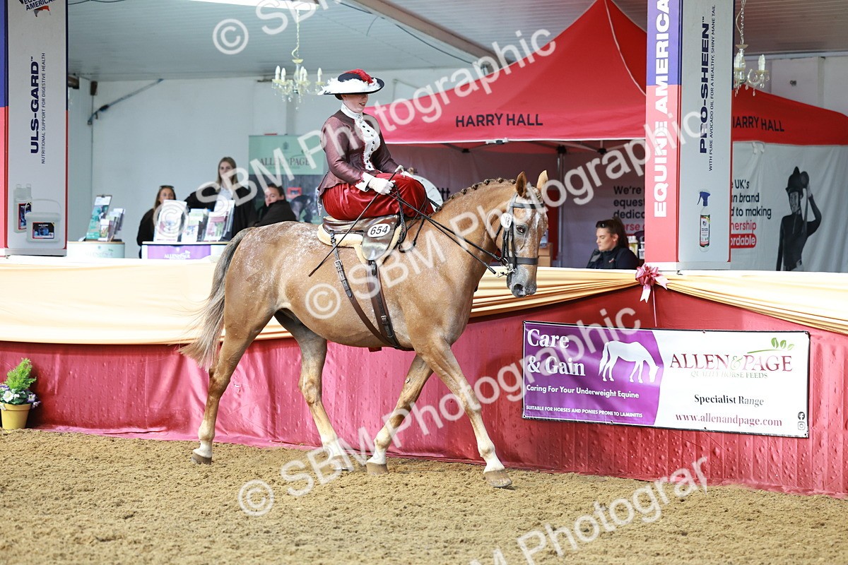 SBM_13552 - Class 105 - Ridden Costume - Side Saddle