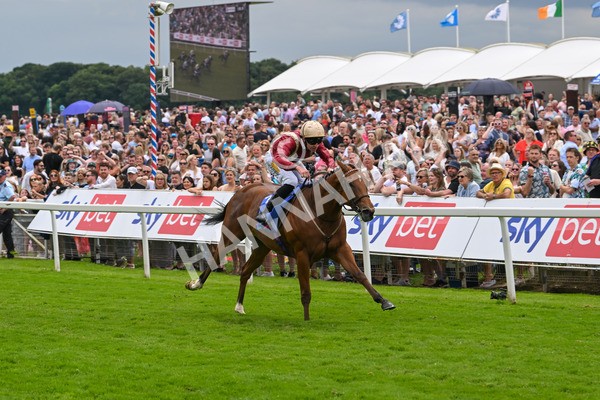 270724-Race 2-Rage Of Bamby-6811 - Race 2 2.40pm Sky Bet Dash Handicap