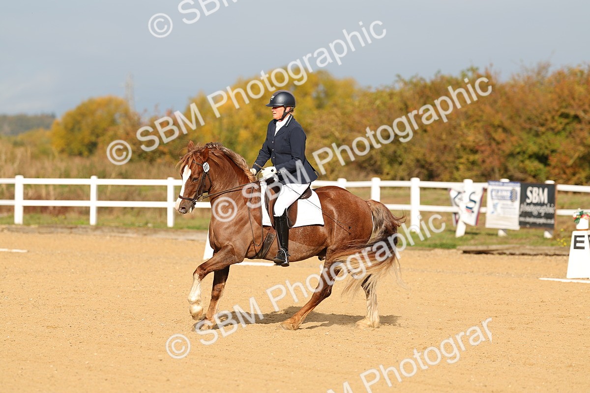 SBM_009300 - Class 1 - P4