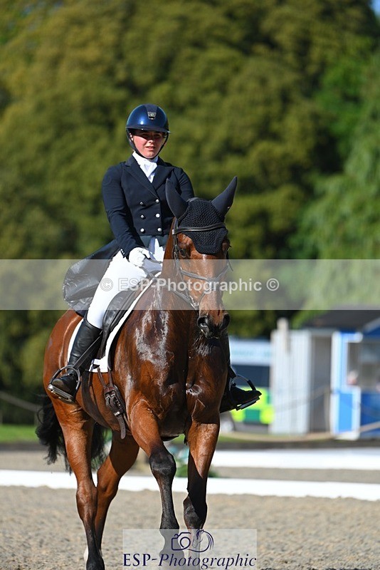 230526-173446-07650 - 264-BALLADEER_JUST_FOR_KICKS-Ellie_Healy-WEDTrotUp+DR