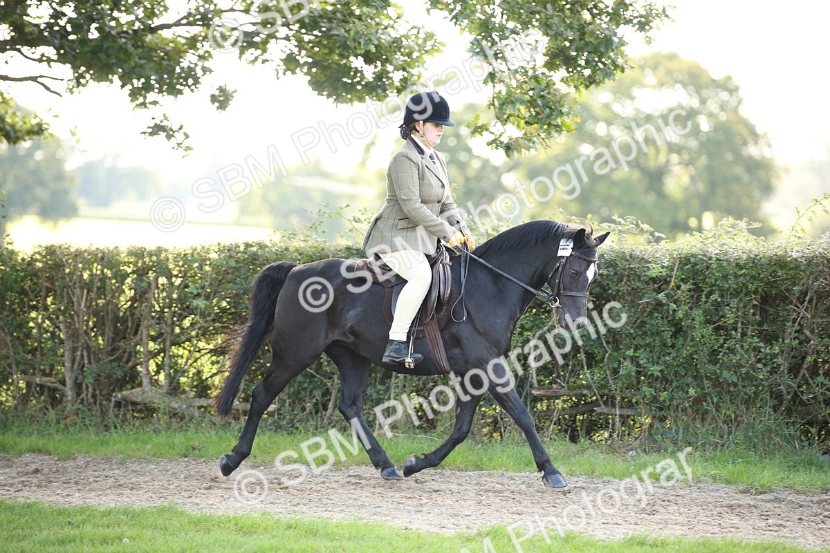 SBM_50111 - S26 - Young Veteran - Ridden