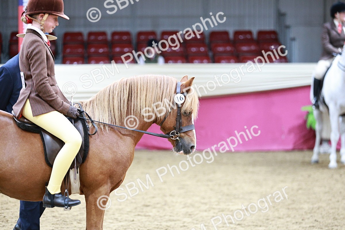SBM_03566 - Class 6A Area Ridden Pre-Vet